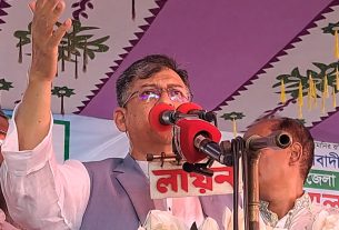 সালাহউদ্দিন আহমদ: ফেব্রুয়ারির নির্বাচন কেউ ঠেকাতে পারবে না