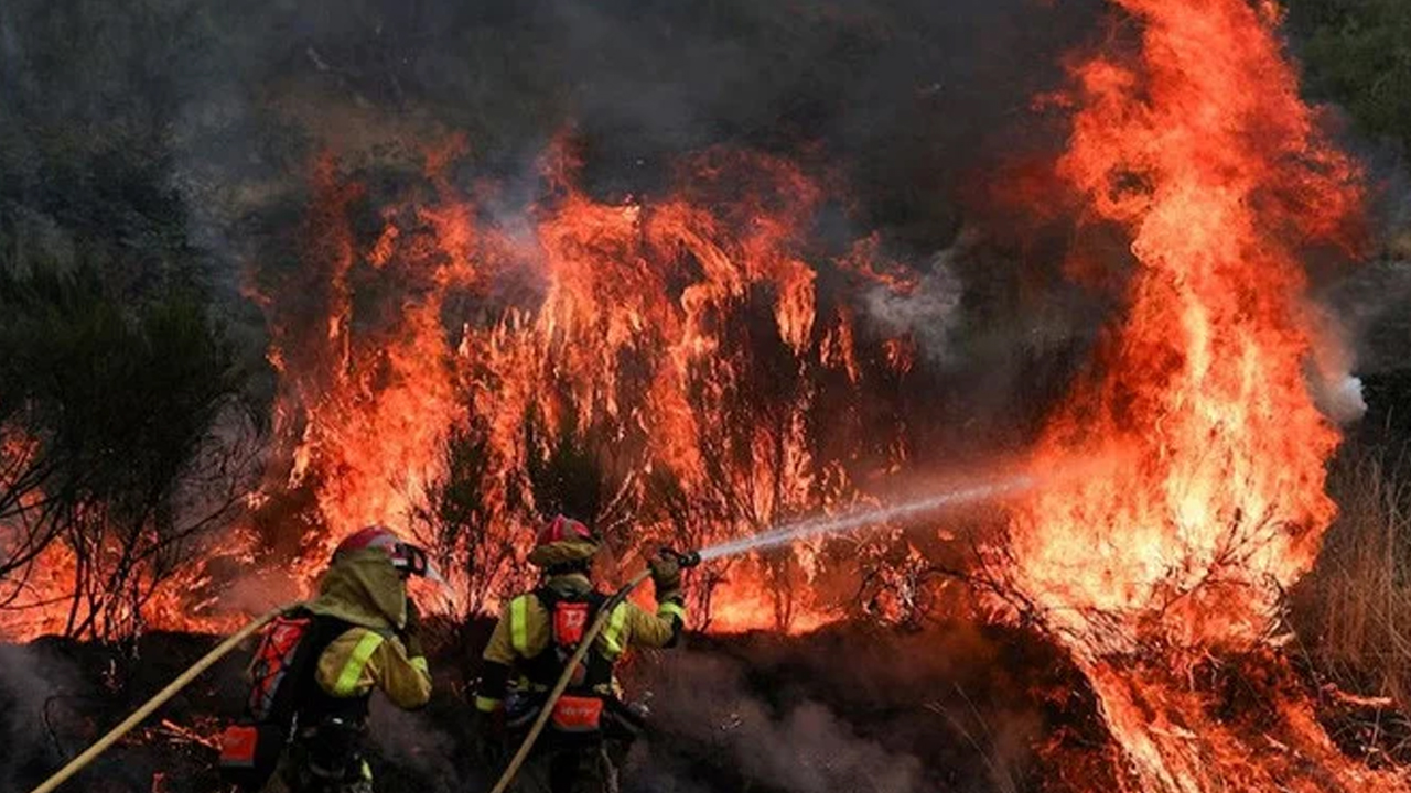 দক্ষিণ ইউরোপে ভয়াবহ দাবানল স্পেন-পর্তুগালে প্রাণহানি