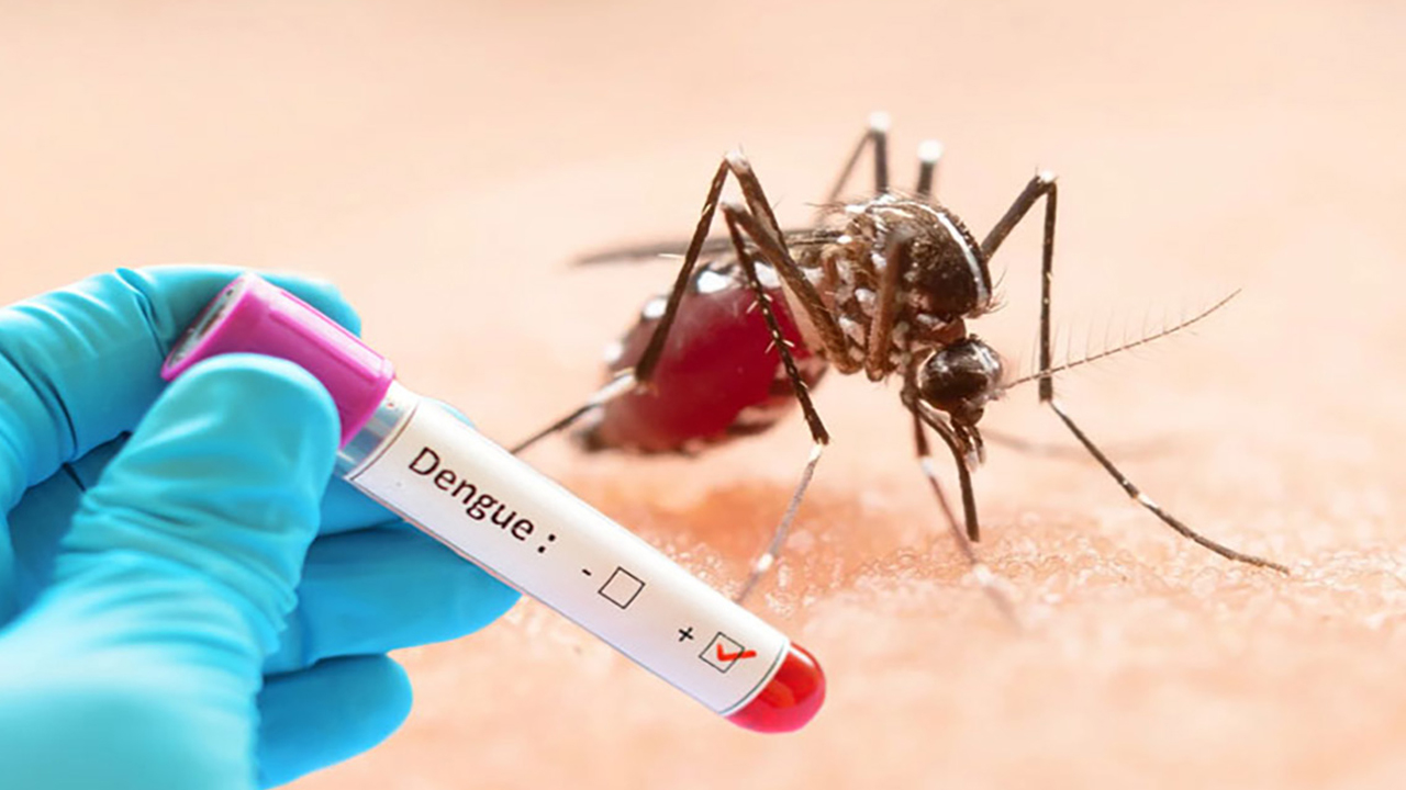 গত ২৪ ঘণ্টায় ডেঙ্গুতে ৪৩০ জন হাসপাতালে ভর্তি