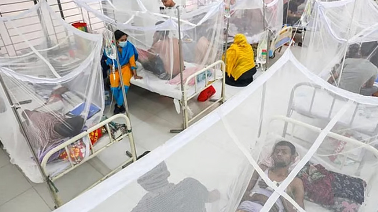 দেশে ডেঙ্গুতে চারজনের মৃ'ত্যু হাসপাতালে ভর্তি ৫৬৮ জন