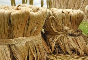 কাঁচা পাট রফতানিতে সরকারের অনুমতি বাধ্যতামূলক