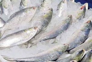 দুর্গাপূজা উপলক্ষে ভারতে ইলিশ রফতানি: অনুমতি ১২০০ টন