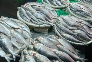 সৌদি আরবসহ মধ্যপ্রাচ্যে ১১ হাজার মেট্রিক টন ইলিশ রপ্তানির অনুমোদন