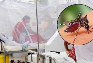 ডেঙ্গুতে আরও ২ জনের মৃ'ত্যু, হাসপাতালে ভর্তি ৬৭৮ জন
