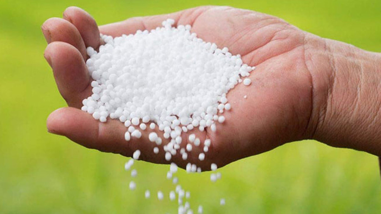 “২০২৫-২৬ সালে ইউরিয়া আমদানি চুক্তি অনুমোদনের সুপারিশ”