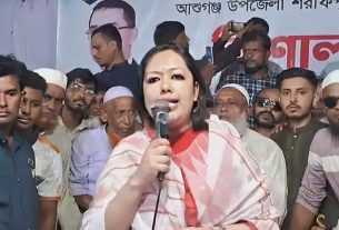 ব্রাহ্মণবাড়িয়ায় বিএনপি সমাবেশ ধানের শীষের জোয়ারে বিজয় অবশ্যম্ভাবী – রুমিন ফারহানা