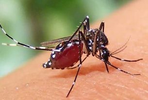 ২৪ ঘণ্টায় ডেঙ্গুতে ২ জনের মৃ'ত্যু হাসপাতালে ভর্তি ৫৭৩ জন