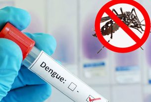 একদিনে ডেঙ্গুতে আরও ৪ মৃ'ত্যু, চলতি বছরে মোট প্রা'ণ'হা'নি ২৪২