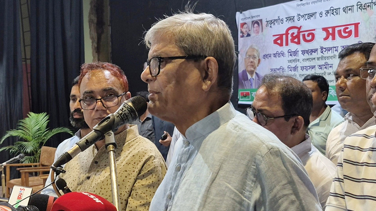 দ্রুত নির্বাচনেই সংকট সমাধান সম্ভব: মির্জা ফখরুল
