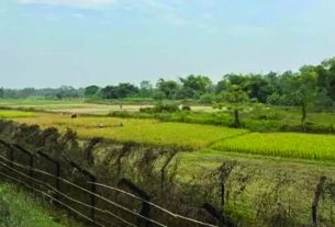 ত্রিপুরায় গরু চোর সন্দেহে তিন বাংলাদেশি নাগরিককে পিটিয়ে হ'ত্যা