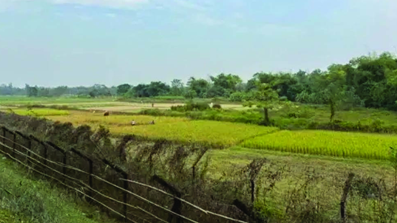 ত্রিপুরায় গরু চোর সন্দেহে তিন বাংলাদেশি নাগরিককে পিটিয়ে হ'ত্যা