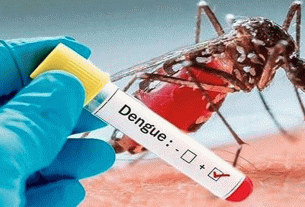 গত ২৪ ঘণ্টায় ৮৩৪ জন ডেঙ্গু আক্রান্ত হাসপাতালে ভর্তি