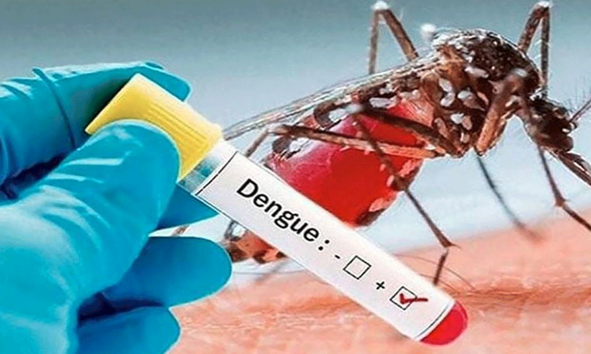 গত ২৪ ঘণ্টায় ৮৩৪ জন ডেঙ্গু আক্রান্ত হাসপাতালে ভর্তি