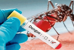 ২৪ ঘণ্টায় ডেঙ্গুতে আরও ৪ জনের মৃ'ত্যু, নতুন শনাক্ত ১১০১ জন