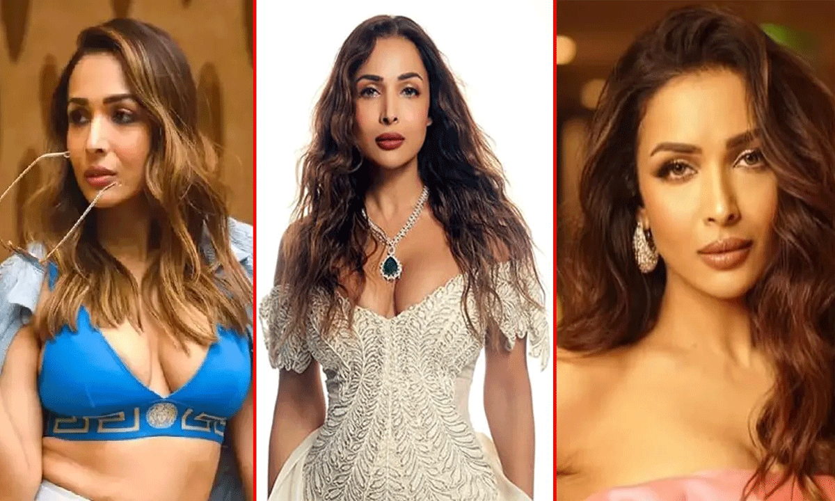 মালাইকা আরোরা নতুন প্রেমিক হর্ষ মেহতার সঙ্গে বিমানবন্দরে ধরা