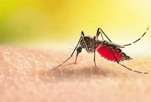 ডেঙ্গুতে ২৪ ঘণ্টায় আরও ৭ মৃ'ত্যু, হাসপাতালে ভর্তি ৫৬৭