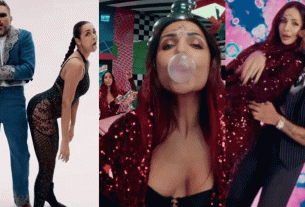 মালাইকার বিরুদ্ধে অভিযোগ, বিপাকে হানি সিংও