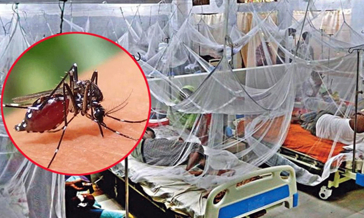 শীতে তাপমাত্রা কমলেও ডেঙ্গুর প্রকোপ থামছে না: বিশেষজ্ঞদের সতর্কতা