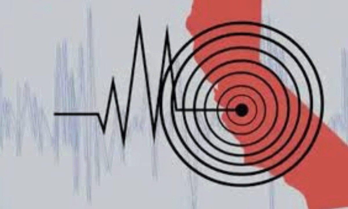 ঢাকাসহ দেশের বিভিন্ন স্থানে অনুভূত ৪.১ মাত্রার ভূমিকম্প, নরসিংদী মূল উৎপত্তি