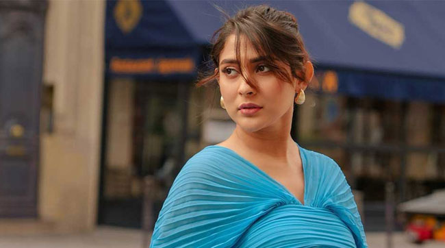 ১৪ বোতল ম'দ'স'হ আ'ট'কে'র ঘটনায় মুখ খুললেন মেহজাবীন