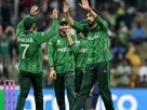 টি-টোয়েন্টি বিশ্বকাপ সেমিতে খেলতে যা করতে হবে পাকিস্তানকে