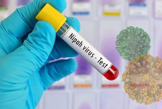 দেশে নিপাহ ভা'ই'রা'সে একজনের মৃ'ত্যু, জানিয়েছে বিশ্ব স্বাস্থ্য সংস্থা
