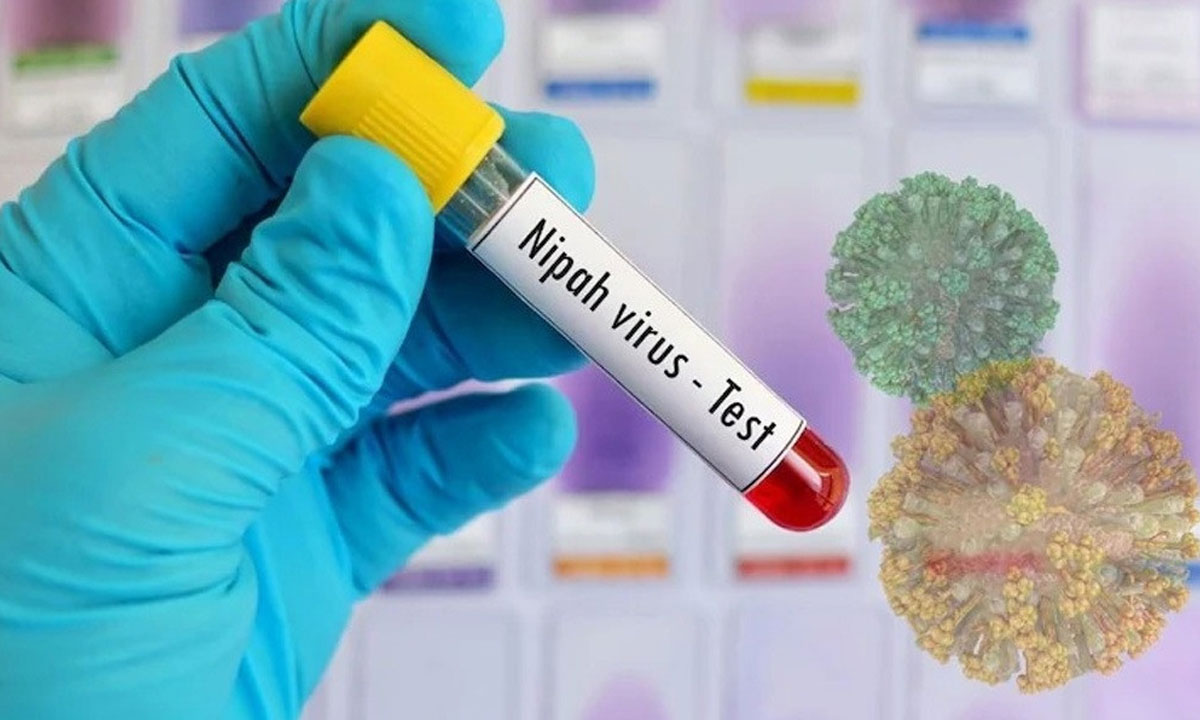 দেশে নিপাহ ভা'ই'রা'সে একজনের মৃ'ত্যু, জানিয়েছে বিশ্ব স্বাস্থ্য সংস্থা