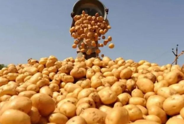 ভিয়েতনামে আলু রপ্তানির অনুমতি পেল বাংলাদেশ