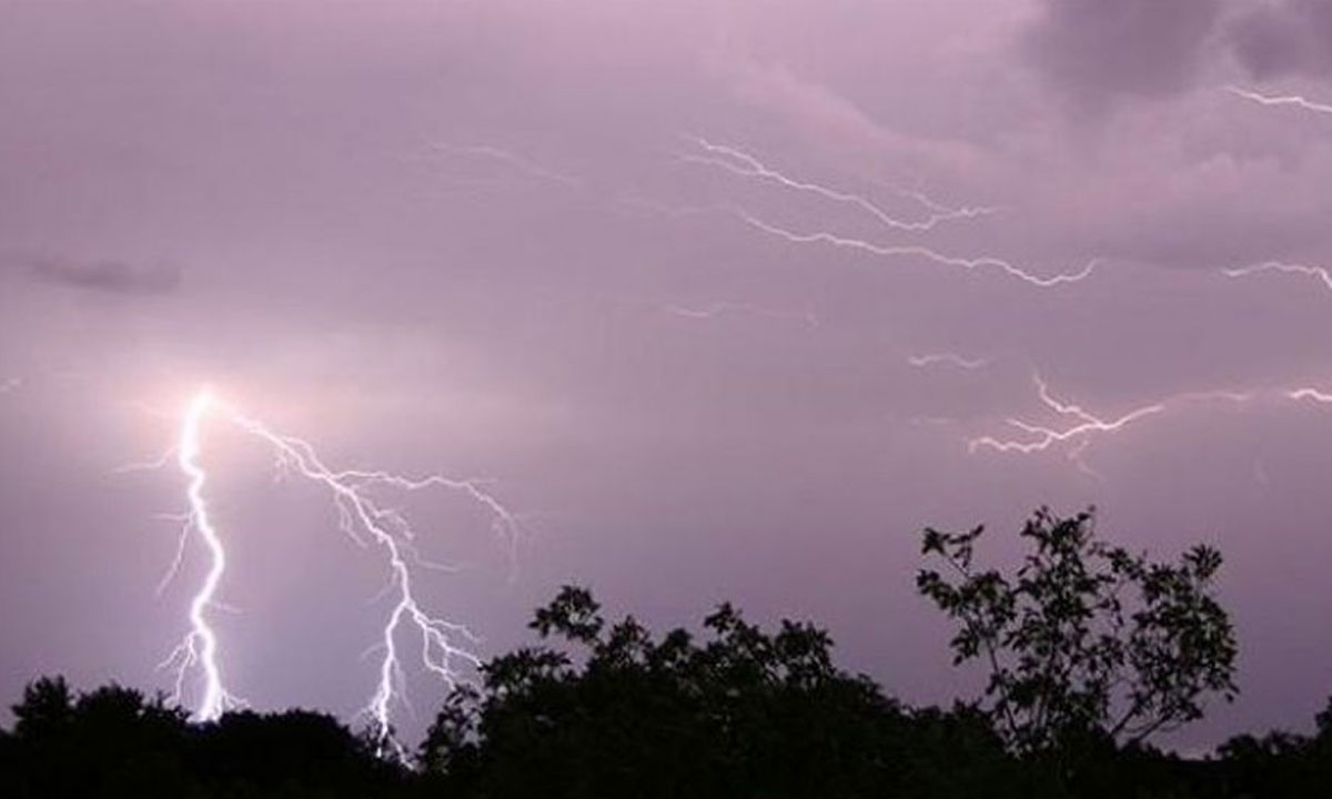 জামালপুর ও রাজবাড়ী‌ ব'জ্রপা'তে ২ জনের মৃ'ত্যু