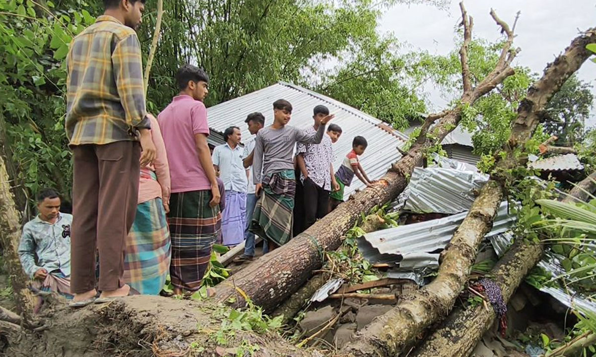 জামালপুরে বৈশাখী ঝড়ে ঘরের ওপর গাছ পড়ে মা ও দুই মেয়ের মৃ'ত্যু