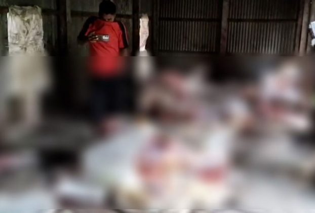 গজারিয়ায় পরিত্যক্ত বাড়িতে ১৩ জ'বা'ই'কৃ'ত ঘোড়া উদ্ধার, জীবিত ১টি জব্দ