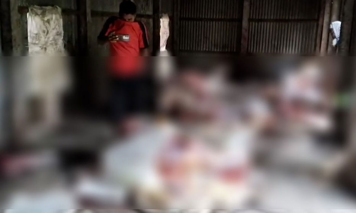 গজারিয়ায় পরিত্যক্ত বাড়িতে ১৩ জ'বা'ই'কৃ'ত ঘোড়া উদ্ধার, জীবিত ১টি জব্দ