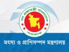 ‘ভারত থেকে গরু আমদানির অনুমতিপত্র’ প্রচার, মন্ত্রণালয়ের জরুরি সকর্তবার্তা