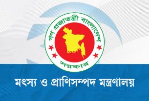 ‘ভারত থেকে গরু আমদানির অনুমতিপত্র’ প্রচার, মন্ত্রণালয়ের জরুরি সকর্তবার্তা