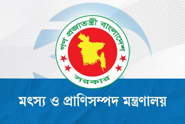 ‘ভারত থেকে গরু আমদানির অনুমতিপত্র’ প্রচার, মন্ত্রণালয়ের জরুরি সকর্তবার্তা