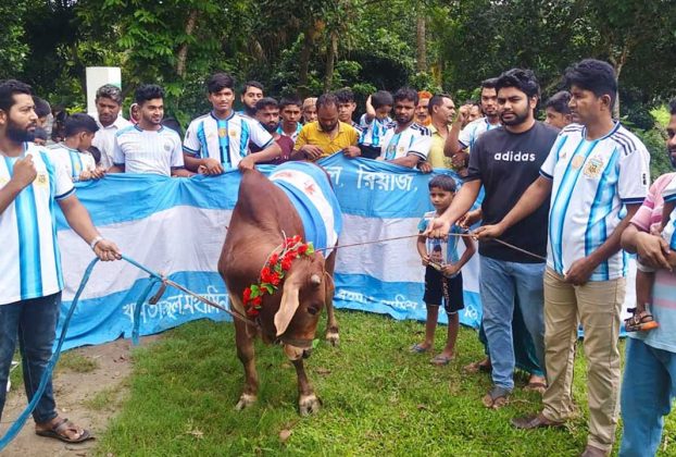 ফাইনালকে ঘিরে গোপালগঞ্জে গরু জবাই, আর্জেন্টিনা সমর্থকদের ভূরিভোজ