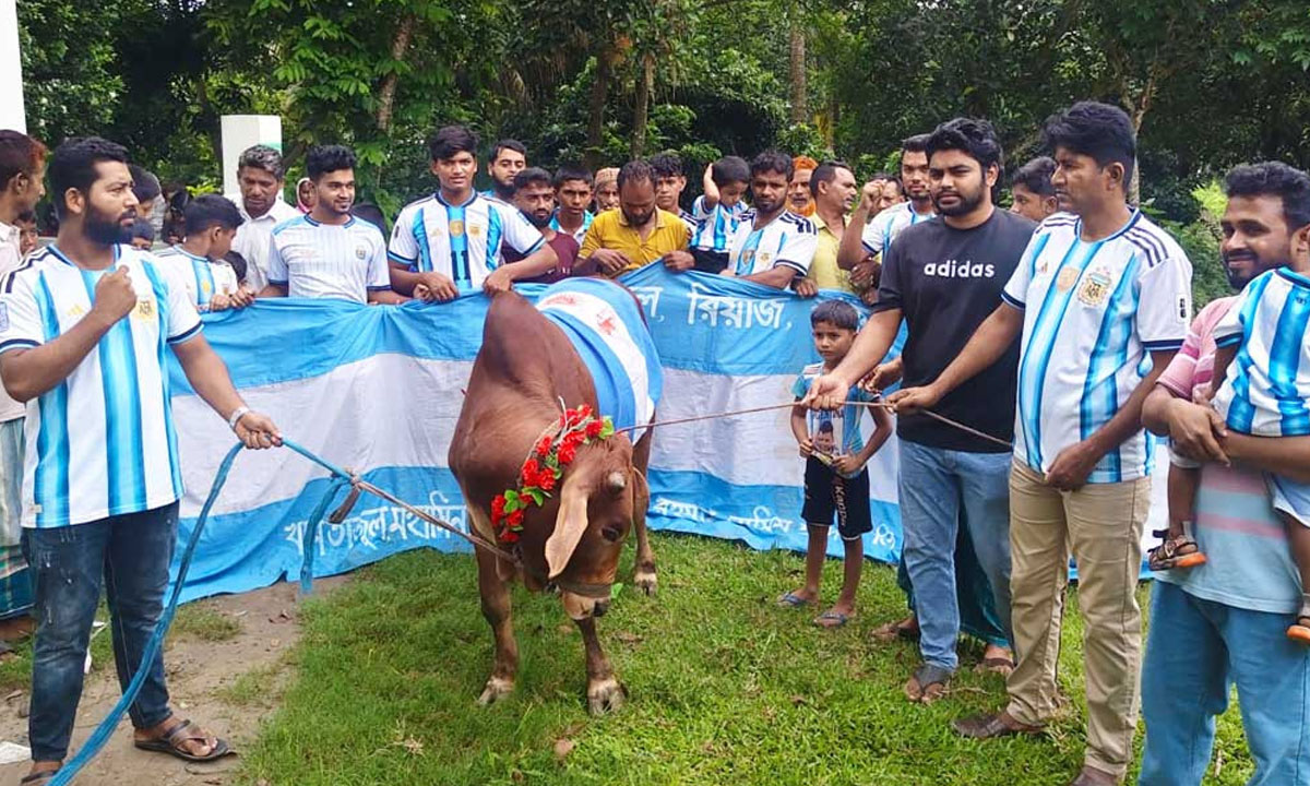 ফাইনালকে ঘিরে গোপালগঞ্জে গরু জবাই, আর্জেন্টিনা সমর্থকদের ভূরিভোজ