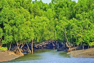 তিন মাস পর ১ সেপ্টেম্বর খুলছে সুন্দরবন