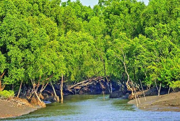 তিন মাস পর ১ সেপ্টেম্বর খুলছে সুন্দরবন