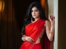 ‘পাখি’ নয়, এখানে সবাই যেন আমাকে ‘চামেলি’ হিসেবে চেনে: মধুমিতা