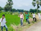 বজ্রপাতের ঝুঁকি কমাতে সড়কের দুই পাশে ৫ হাজার তালবীজ রোপণ