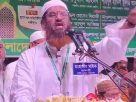 শেখ হাসিনার পর বিএনপিকেও ‘ভূতে ধরেছে’: মামুনুল হক