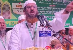 শেখ হাসিনার পর বিএনপিকেও ‘ভূতে ধরেছে’: মামুনুল হক