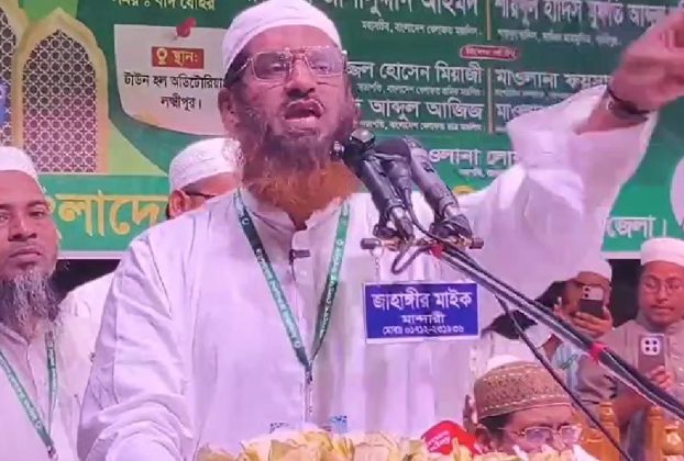 শেখ হাসিনার পর বিএনপিকেও ‘ভূতে ধরেছে’: মামুনুল হক