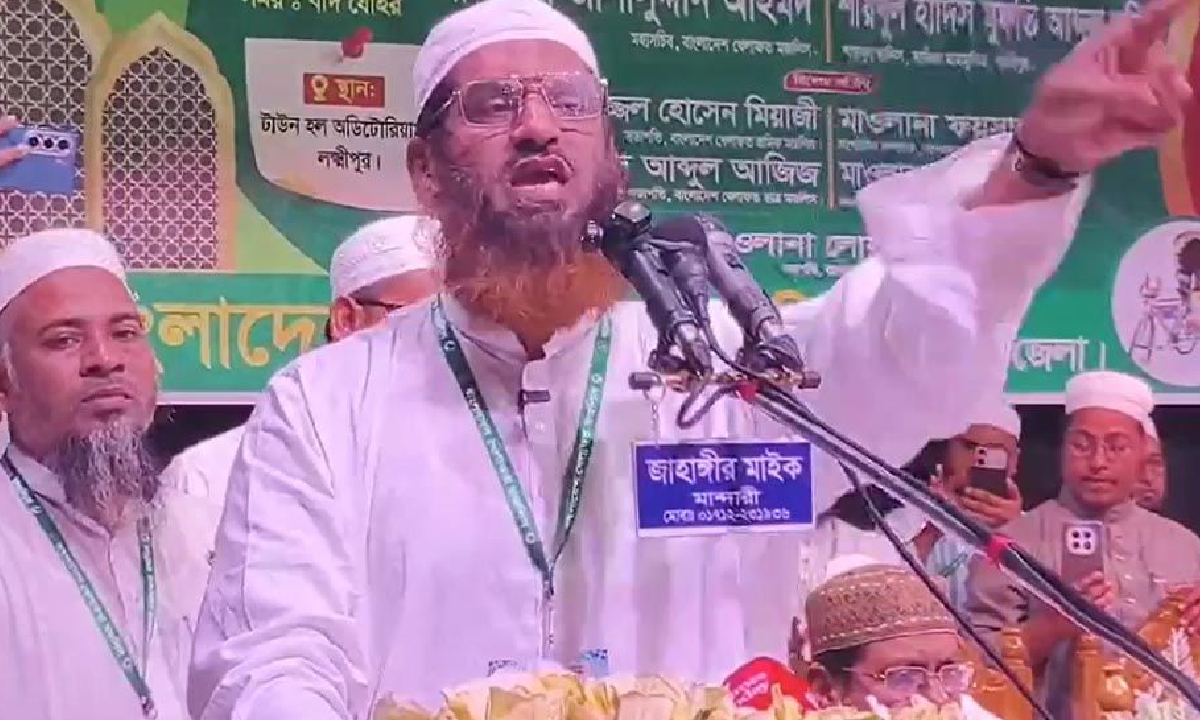 শেখ হাসিনার পর বিএনপিকেও ‘ভূতে ধরেছে’: মামুনুল হক